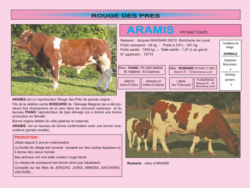 ARAMIS