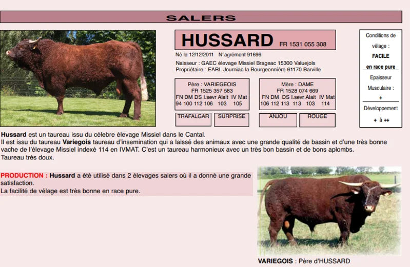 HUSSARD