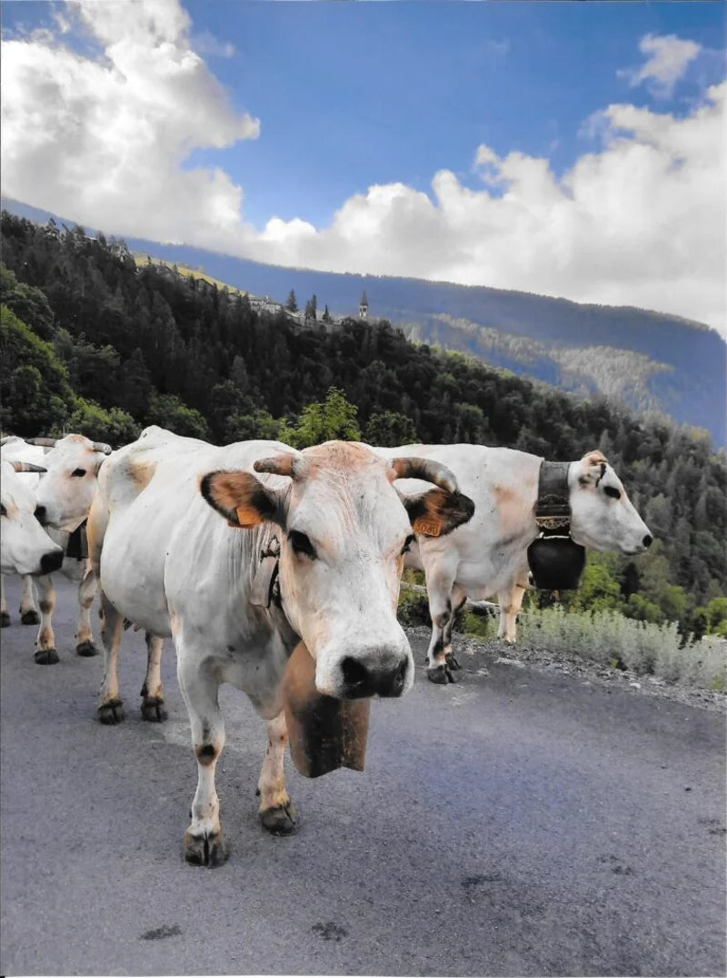 PIEMONTESE